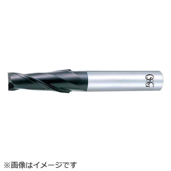 セール 超硬エンドミル 8537370 日本最大級の品揃え FX-MG-TPDS-10X2