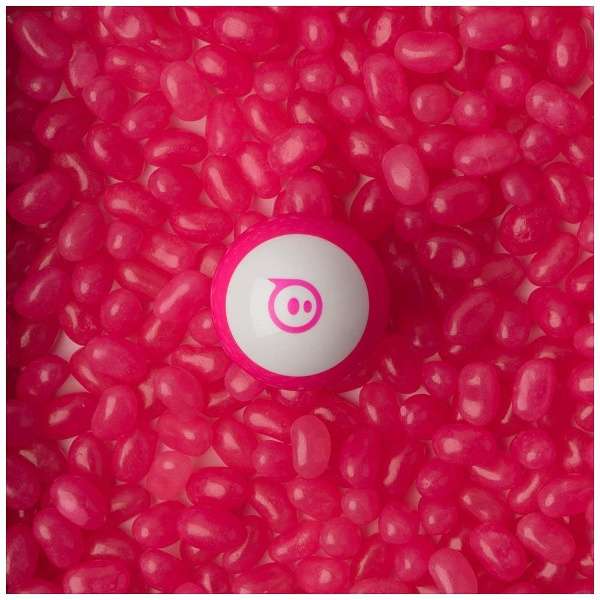 Sphero Mini粉红[M001PAS][修长的玩具+编程指令][STEM教育][，为处分品，出自外装不良的退货、交换不可能]_2