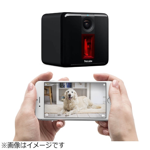 小型犬や猫におすすめの Iotペット用品大集合 ビックカメラ Com
