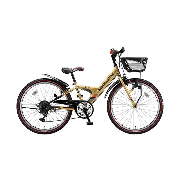 20型 子供用自転車 エクスプレスジュニア (ゴールド＆ブラック/外装6段変速) EX06 【2018年モデル】 【キャンセル・返品不可】