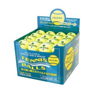 一般用途的硬式网球球48球入LB-4048YLGR黄色×绿色