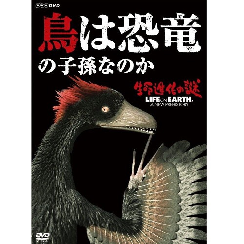 5☆好評 生命進化の謎 数量は多 鳥は恐竜の子孫なのか DVD