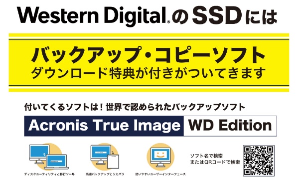 WDS100T2B0B 内蔵SSD WD BLUE 3D NAND SATA SSD [1TB /M.2] 【バルク品
