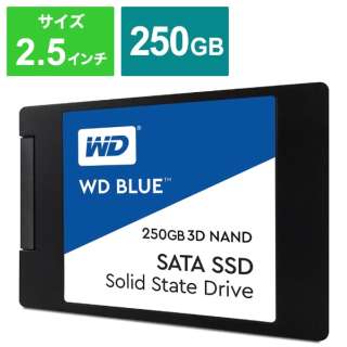 WDS250G2B0A SSD WD BLUE 3D NAND SATA SSD [250GB /2.5C`] yoNiz