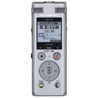 Dm 750 Icレコーダー Voice Trek シルバー 4gb オリンパス Olympus 通販 ビックカメラ Com