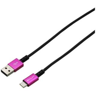 USB-A  USB-CP[u [[d /] /1.0m /USB2.0] sN BUSACAN2100PK
