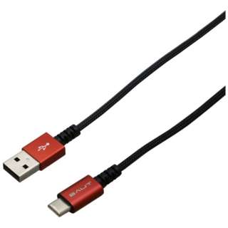 USB-A  USB-CP[u [[d /] /1.0m /USB2.0] bh BUSACAN2100RD