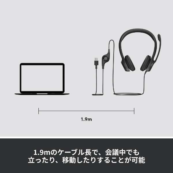 耳机H390石墨H390R[USB/两耳朵/头带型]_7