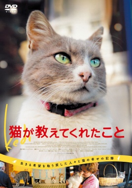 猫 コレクション の dvd