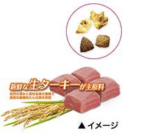 ピュリナワン ほぐし粒入り 体重ケア <1歳以上> ターキー 4.2kg