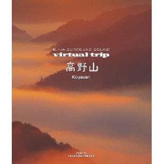 virtual@trip@R yu[Cz