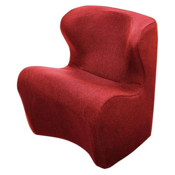 姿势支援椅子"Style Dr.CHAIR Plus"(样式博士椅子加)BS-DP2244F-R红_1
