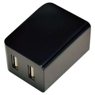2.4A 2߰ USB AC[d ތ^ BK RBAC119 ׯ