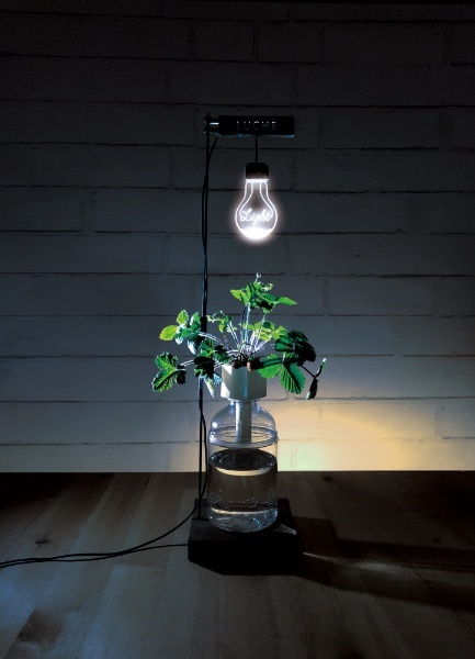 LUCHE植物栽培用LEDスタンドライト ルーチェザ・ライト はせがわさとう｜HASEGAWA SATO 通販