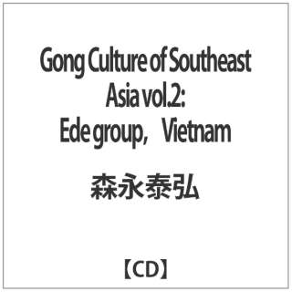 Xi׍O/ Gong Culture of Southeast Asia volD2 F  Ede groupC Vietnam yCDz