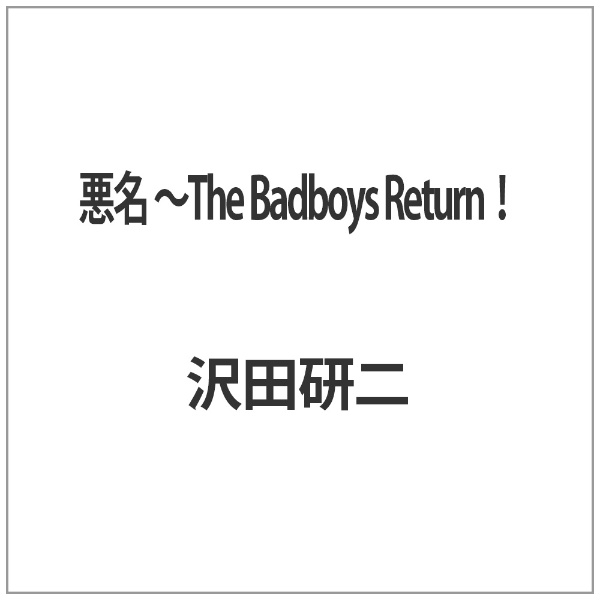 悪名 ～The Badboys Return！ 【DVD】