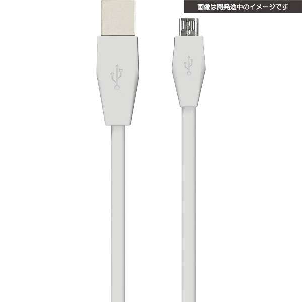 供PS4使用的USB遥控器充电扁平带状电缆4m白CY-P4USFC4-WH[PS4]_1
