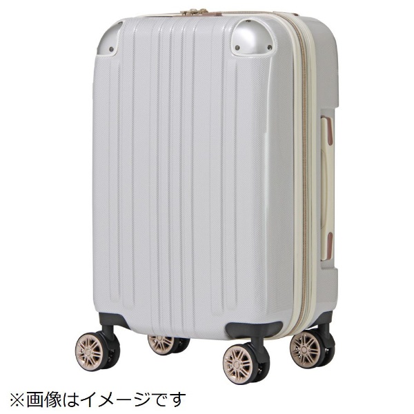 ビックカメラ.com - スーツケース 32L(39L) ホワイトカーボン 5122-48-WHCB [TSAロック搭載]