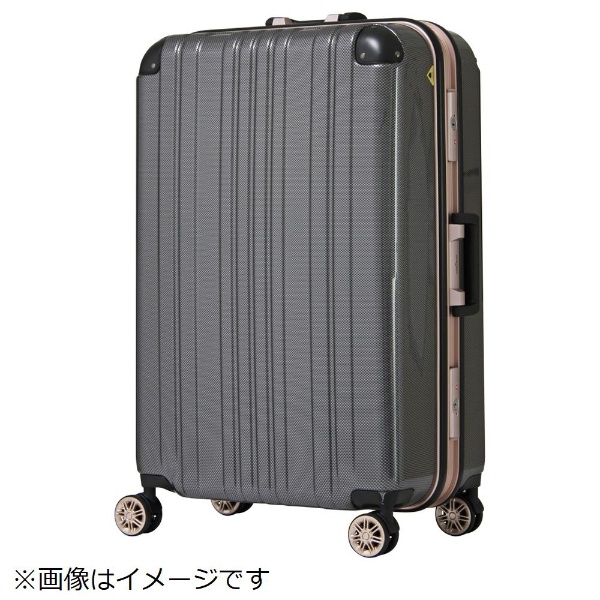 スーツケース 68L カーボン 5122-62-CB [TSAロック搭載] レジェンド 