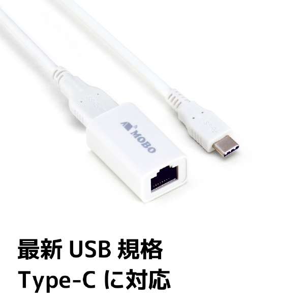 LANϊA_v^ [USB-C{USB-A IXX LAN] 1GbpsΉ zCg AM-TCALAN_20