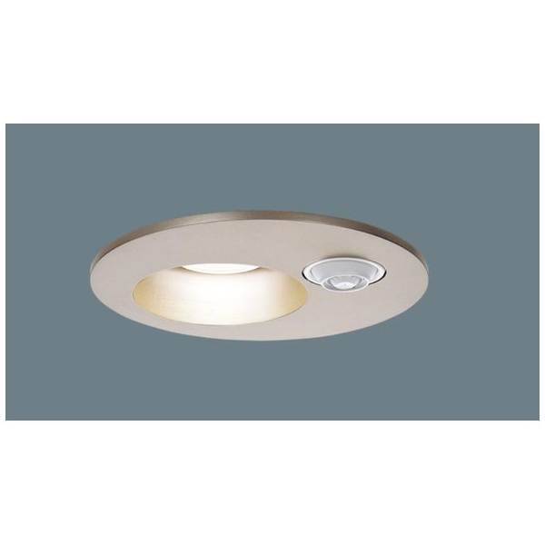 天井埋込型　LED（電球色）軒下用ダウンライト・ポーチライト LGWC71662K LE1