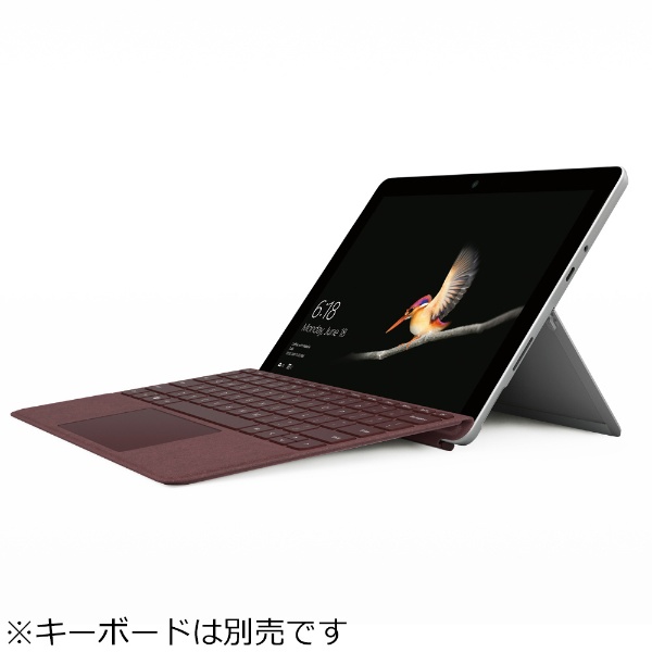 ビックで20%オフ延長！Surface Go 64GB MHN-00014 と MHN-00017 の違い 