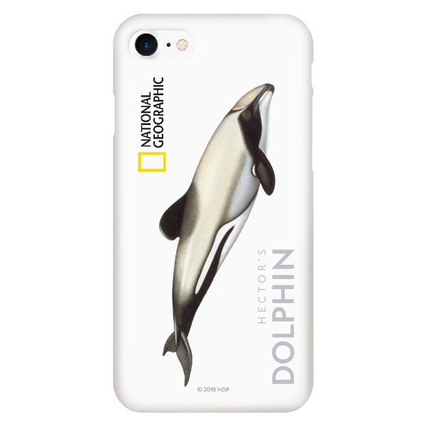 iPhone8/7 Dolphin Series  Slim Fit Hard NG13011I8