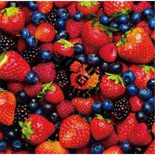 E/ STRAWBERRY TIMESiBerry Best of HiGEj Deluxe Edition yCDz