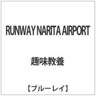 RUNWAY NARITA AIRPORT(BLU) yu[Cz