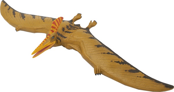 ギフト新品＠恐竜　FDS608 プテラノドン スケルトンモデル 70108 生き物