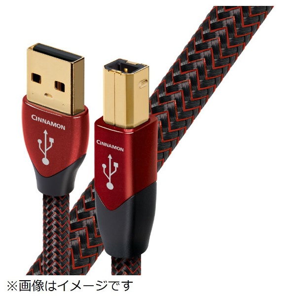 USBケーブル USB2/CIN/0.75M オーディオクエスト｜audioquest 通販
