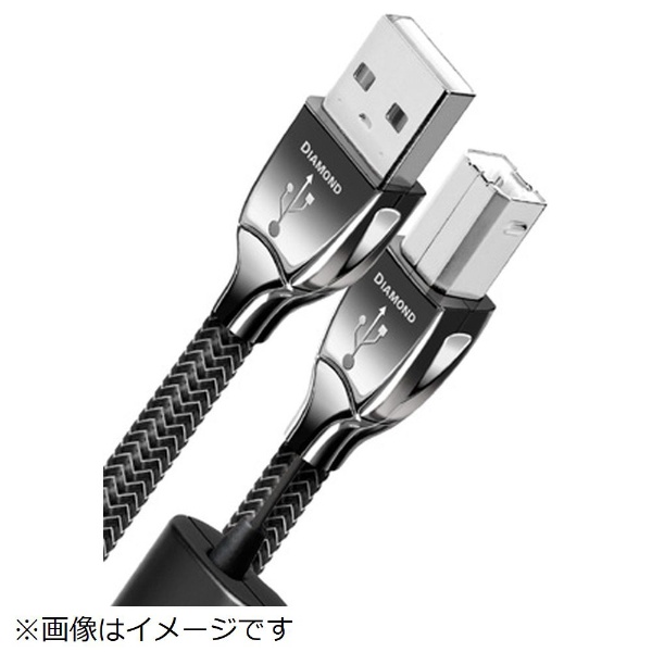 USBケーブル USB2/DIA/0.75M オーディオクエスト｜audioquest 通販