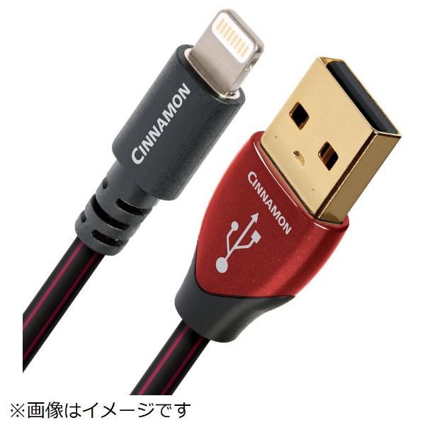 オーディオクエスト USBケーブル USB2/CIN/1.5M/MIC-