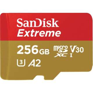 microSDXC卡Extreme(ekusutorimu)SDSQXA0-256G-JN3MD[Class10/256GB]