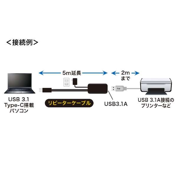5mUSB3.1 Type C-USB3.1AANeBus[^[P[u KB-USB-RCA305_4