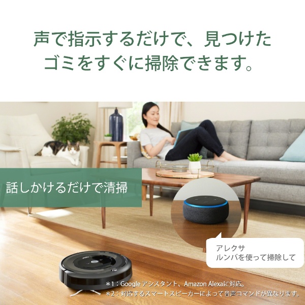 新品 iRobot ロボット掃除機 ルンバe5 (国内正規品) e515060 掃除機 【即納&大特価】