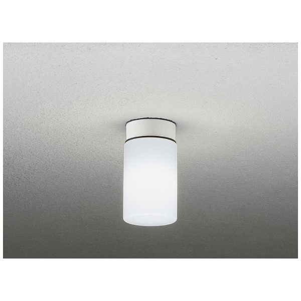 LED浴室灯 DXL-81292C 通販