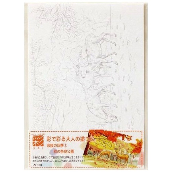 超特価SALE開催 税込 彩で彩る大人の塗り絵奈良の四季3