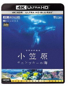 世界自然遺産 小笠原 〜ボニンブルーの海〜 4K 内祝い 超激安特価 ブルーレイソフト HDR HD Ultra