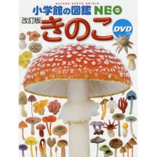 wق̐}NEO ̂ DVD[]