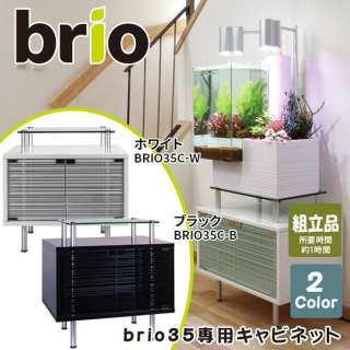 brio35pLrlbg (zCg)