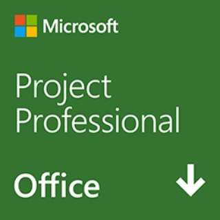 Project Professional 2019 { [Windowsp] y_E[hŁz