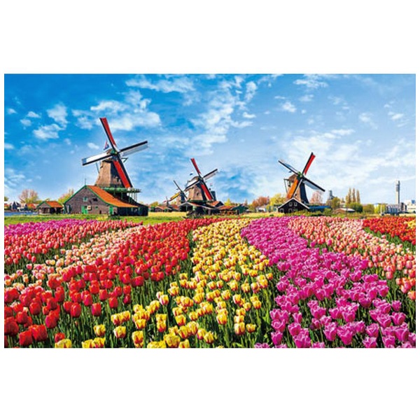  ジグソーパズル 10-1342 チューリップと風車小屋（オランダ）（1000ピース）