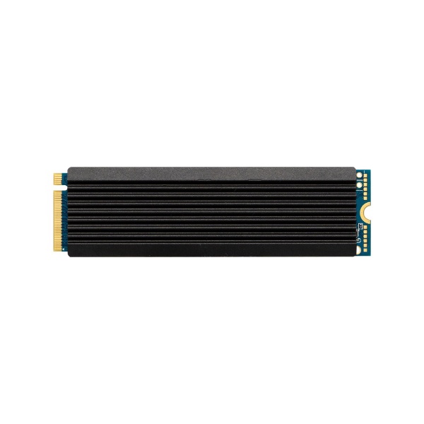 CSSD-M2B01TPG2VN 内蔵SSD CFD SSD [1TB /M.2] 【バルク品】 CFD販売｜シー・エフ・デー 通販 |  ビックカメラ.com