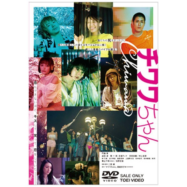 チワワちゃん DVD※同梱8枚迄OK！ 7i-0646