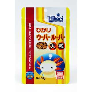 Hikari(发光)发亮呜呜糊涂的汤汁标准打数大颗粒(30g)[宠物食物]