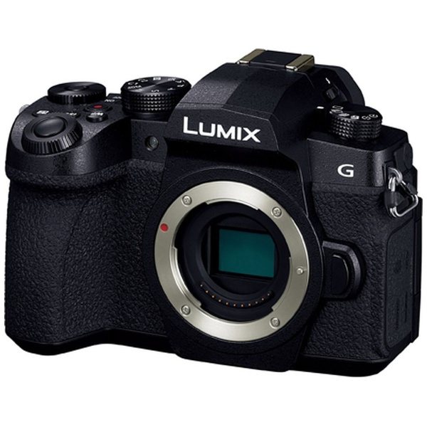 LUMIX G99 Mirrorless interchangeable-lens camera Cameras black DC