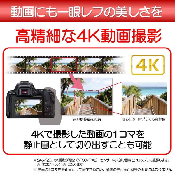 EOS Kiss X10 デジタル一眼レフカメラ EF-S18-55 IS STM レンズキット 