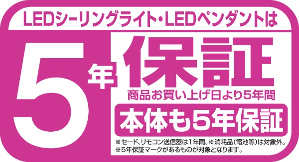 LEDシーリングライト NLEH12BK1A-DLD [12畳 /昼光色]