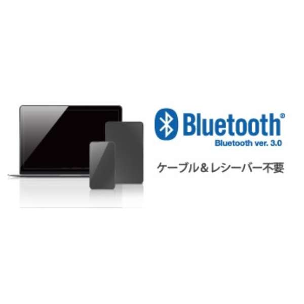 L[{[h ubN BSKBB318BK [CX /Bluetooth]_4